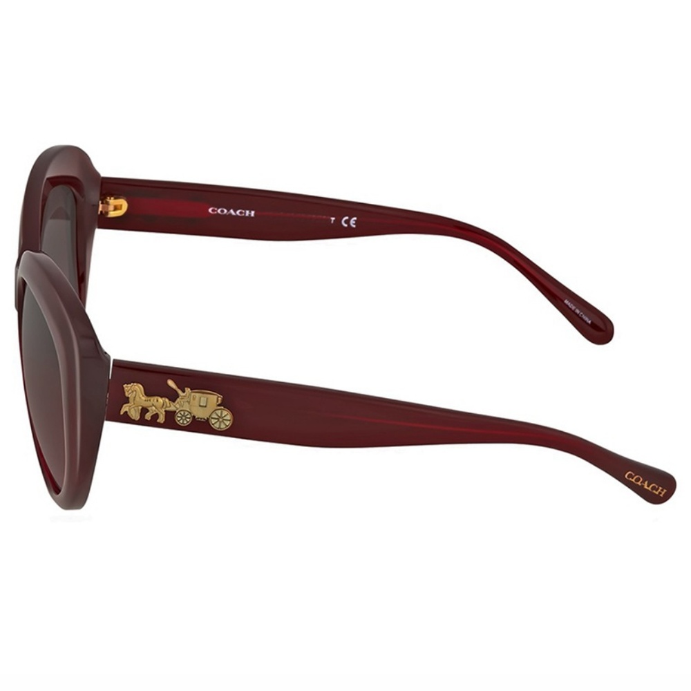 Coach Sunglasses Iconic Coach Buggy on Arms - Picture 4 of 5